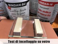 Colla vinilica universale per interni BINDAN N B2/D2 10Kg (1pz)