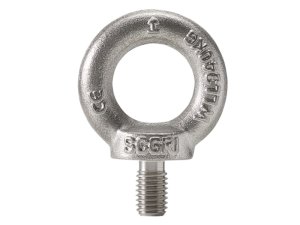 Golfari maschio Carcano A553P DIN 580 in acciaio inox AISI 304, M6-M30 (25pz)