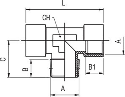 Schema raccordo Aignep 4040